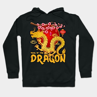 Zodiac Year Of The Dragon Lunar Happy Chinese New Year 2024 Hoodie